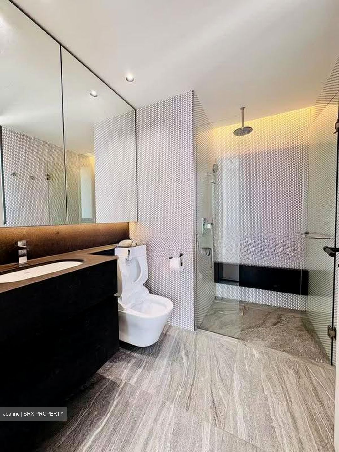10 Evelyn (D11), Apartment #616792641